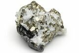 Gleaming Pyrite and Quartz on Sphalerite (Marmatite) - Peru #233412-1